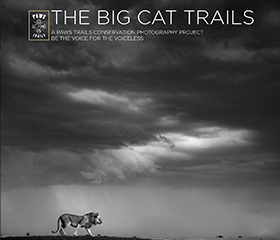 Paws Trails Explorers // Wildlife conservation photography 